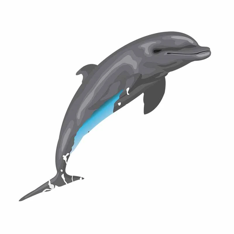13cm Ustvarjalne Decal za Dolphin motorno kolo Avto Nalepke DIY Anime Telo za Avto 3D Nepremočljiva Vinil Car Wrap Okna Okraski